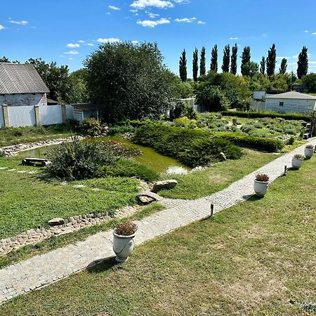 Maison Blanche Ecohousе Mytnitsa Εξωτερικό φωτογραφία