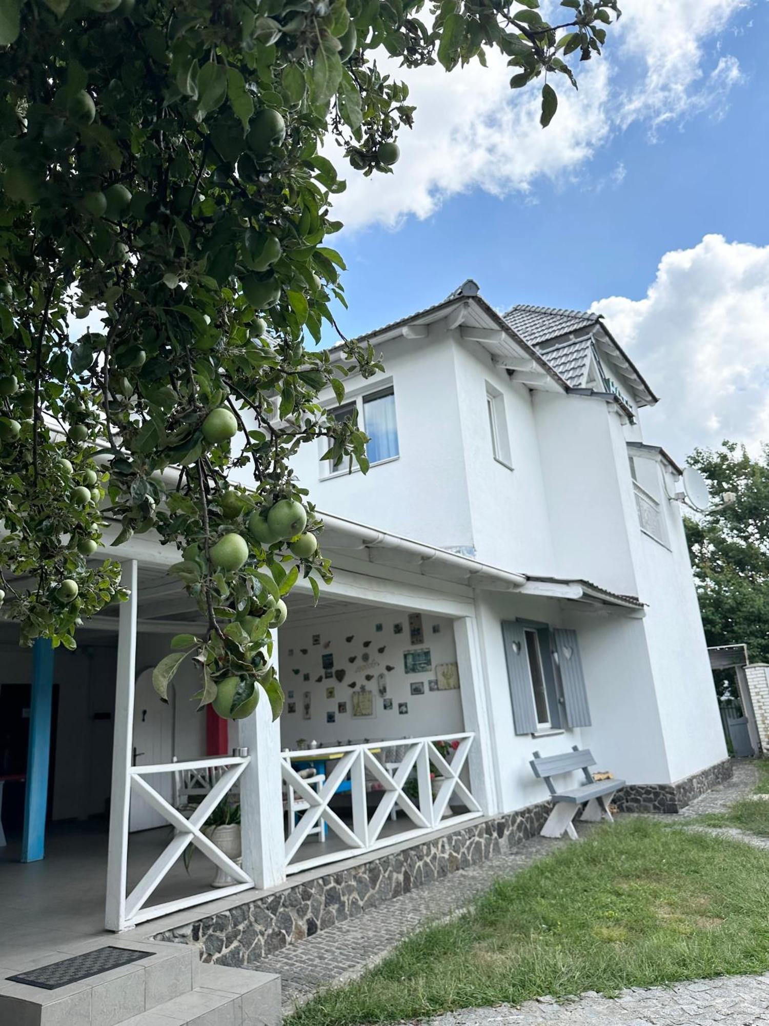 Maison Blanche Ecohousе Mytnitsa Εξωτερικό φωτογραφία